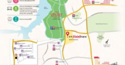 CT FoodNex