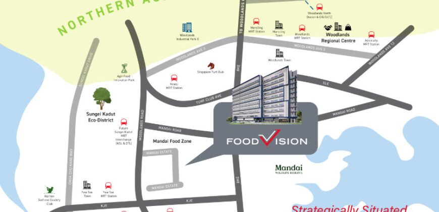Food Vision