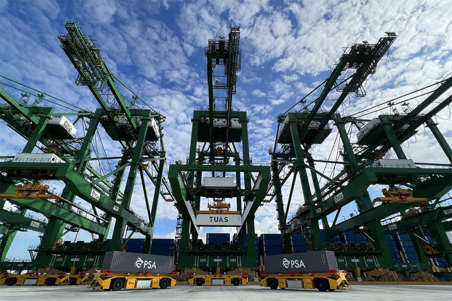 Tuas Mega Port Cranes