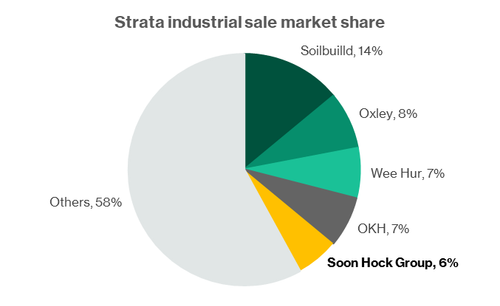Industrial Developer Pie Chart