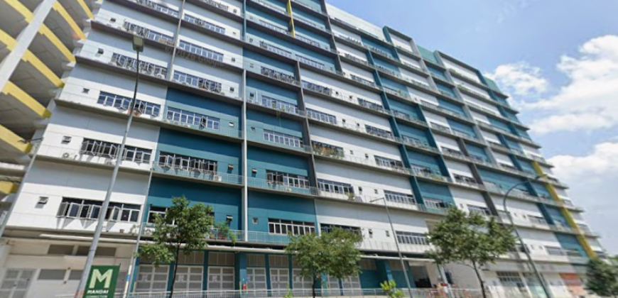 Mandai Connection